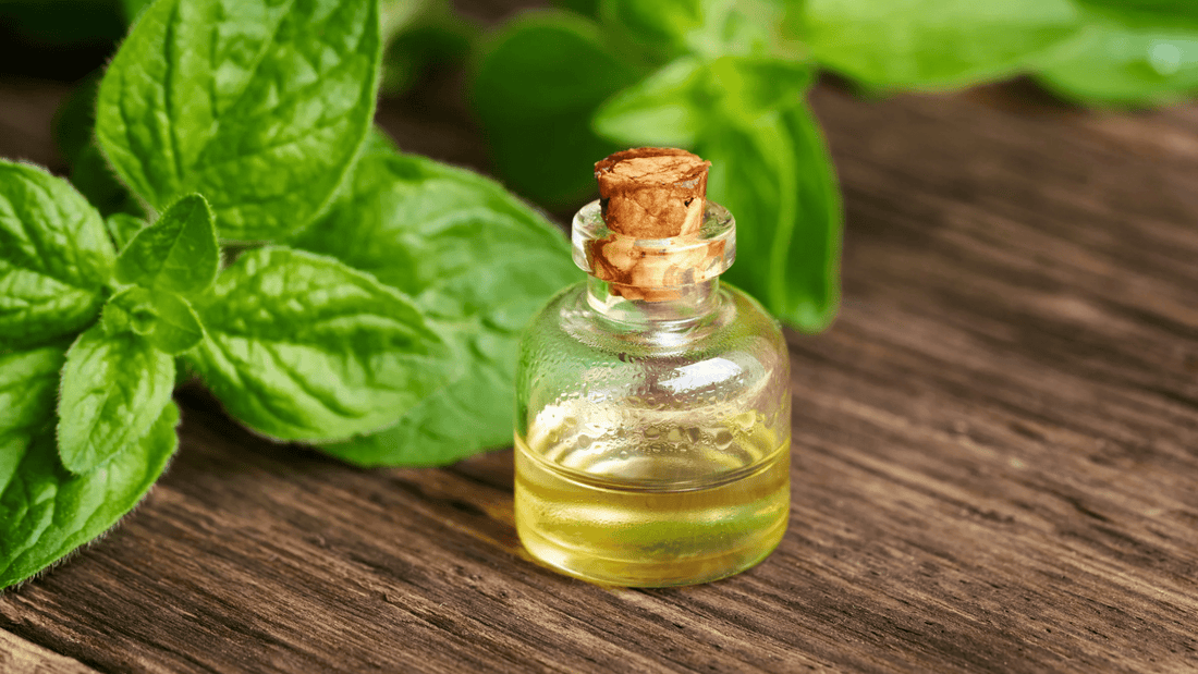 Ulei-oregano-beneficii