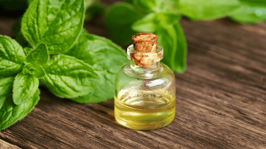 Ulei-oregano-beneficii